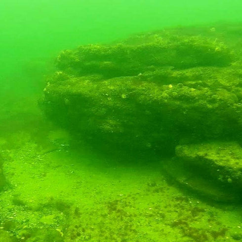 Diving in the Black Sea